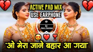 Mera Jane Bahar Aa Gaya  मै तो खिल के गुलाब हो गई  Active Pad Mix  DJ Maroti Chandrakant [upl. by Lashar467]