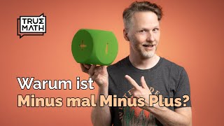 Warum ergibt Minus mal Minus Plus [upl. by Nauwaj198]