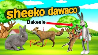 sheeko caruureed dawaco iyo bakeyle  sheeko somali cartoon  sheeko caruureed cusub [upl. by Nyrb761]