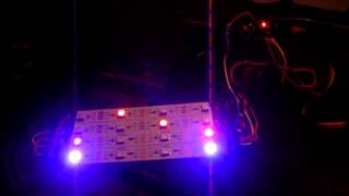 WS2812b programmable LED Strip Arduino  Adafruit Library [upl. by Uda435]