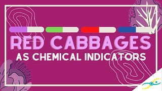 Red Cabbages as Chemical Indicators  UWI Mona Biochemistry Society [upl. by Narak]