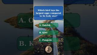 General knowledge quiz part 107 generalknowledge generalknowledgequiz challenge quiz gk trivia [upl. by Kristel766]