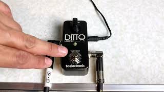 Ditto Looper Pedal How does it sound [upl. by Justine396]