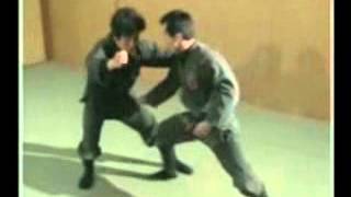 Koto Ryu KoppoJutsu  Shoden no Kata [upl. by Ameluz]