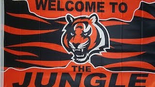 Cincinnati Bengals Theme Song [upl. by Gabel]