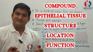 Tissue  Compound Epithelial Tissue Types  Structure  Location  Function  With हिंदी Explanation [upl. by Trebeh]