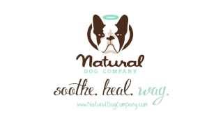 Snout Soother by Natural Dog Company for a Dry Chapped Dog Nose [upl. by Nylorak]