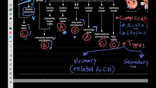 Therapeutics Hypertension 2 [upl. by Rieger294]