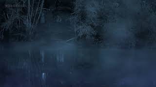 🐸 Night Forest Sounds in a Foggy Rainy Swamp  Relaxing Nature Marshland with Rain amp Frogs Croaking [upl. by Patrich645]