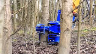 Binderberger Fällgreifer  Grapple for cutting and loading wood [upl. by Hackney323]