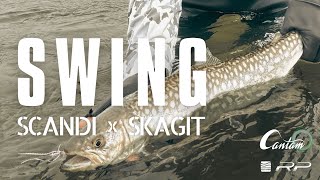 SWING  SCANDI x SKAGIT FLY FISHING in Hokkaido [upl. by Novej]