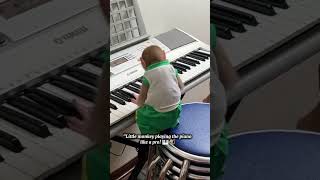 Little monkey playing piano littlemonkey cutemonkey shortsfeed [upl. by Taddeusz794]