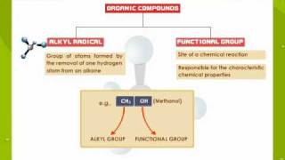 Functional Groups in Organic Compounds [upl. by Antoine]