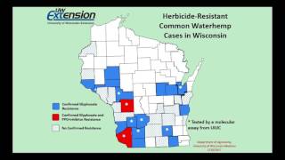 Practical Weed Management for LowMargin Years [upl. by Eiramanna715]