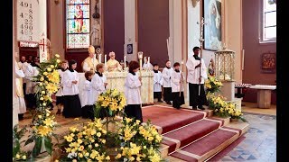 Pontifikal påskedagsmesse i St Olav domkirke Oslo [upl. by Nwatna]