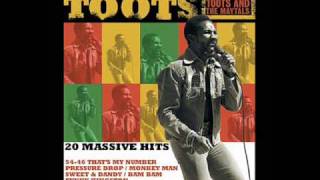 Toots And The Maytals Time Tough [upl. by Sotos]