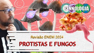 REVISÃO ENEM 2024  Protistas e Fungos [upl. by Rehtaef790]