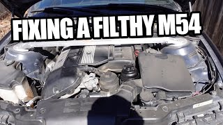 BMW E46 Fixing COMMON Idle  Drivability issues in MINUTES DISAIACVIntake BootsVacuum lines [upl. by Yacano344]