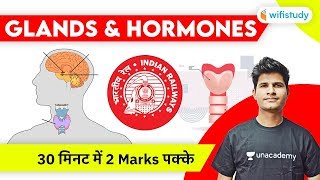 Glands amp Hormones in Human Body  Hormones amp Glands Explained by Neeraj Jangid [upl. by Dnalon]