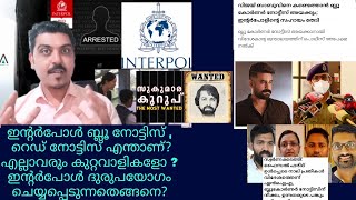 ഇന്റർപോൾ അധികാരങ്ങൾ  Interpol malayalam ബ്ലൂ റെഡ് ഗ്രീൻ നോട്ടിസുകൾ [upl. by Anitsirk]