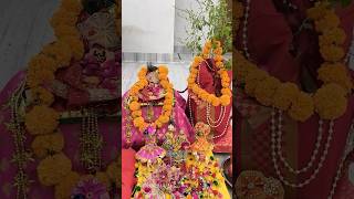 Tulsi vivah🙏🏽Tulsi mya sun tum meri prathna🙏tulsivivah shorts shortvideos tranding hindugod [upl. by Quartana909]