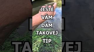 Jak hledat dravce 🎣 youtubeshorts fishing viralvideo [upl. by Oakes]