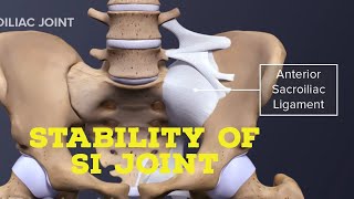 stability of sacroiliac joint [upl. by Xuagram]