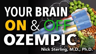 How “Ozempic” Works – Weight Loss Weight Regain amp Neuroscience  Nick Sterling MD PhD 7 [upl. by Adnirual328]