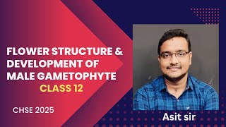 Structure of flower amp Development of male gametophyte  Class 12  CHSE 2025 [upl. by Areikahs286]