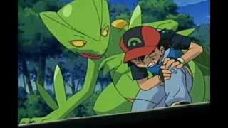 Pokémon AMV – Sceptile – Never Too Late [upl. by Paolo]