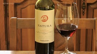 Emiliana Natura Carmenere 2015 wine review [upl. by Nospmis28]