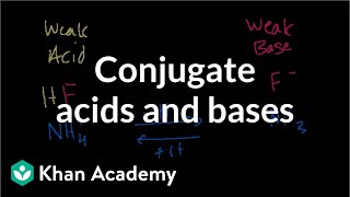 Conjugate acids and bases [upl. by Anauqal]