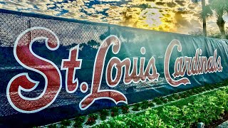 Cardinals Spring Training Preview [upl. by Ahcas]