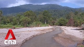 Activists in Malaysia call for 25year logging moratorium to safeguard against climate change [upl. by Rellim426]