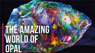 Top 10  Most Beautiful and Fascinating Opals Around the World [upl. by Ayadahs693]