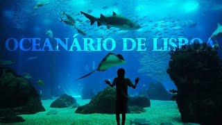 Lisbon Sea Aquarium Portugal Full Tour in 4K [upl. by Viveca]