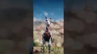 RDO • Sorrel Overo Criollo Horse • Red Dead Redemption 2 [upl. by Grannia]