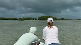 Bonefish over Belize [upl. by Netty]