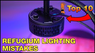 Whats the Best Approach to Using and Choosing the Right Refugium Light [upl. by Okim]