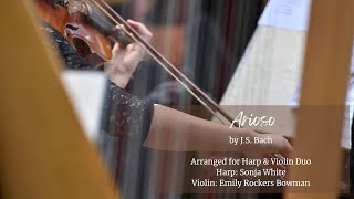 Bach Arioso  Violin amp Harp Duo [upl. by Airemaj391]