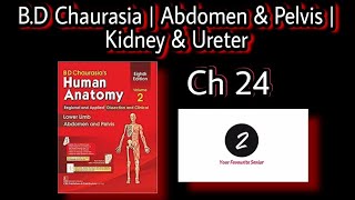 Kidney and Ureter Anatomy  Abdomen and Pelvis  Chapter 24  BD Chaurasia [upl. by Lunnete]