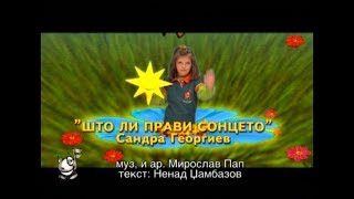 Potocinja 2008  Sandra Georgiev  Sto li pravi sonceto Official Video [upl. by Haet]