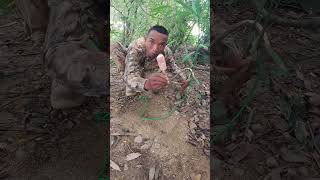 Traps unpredictable trap bushcraft alanhdva [upl. by Mulvihill]