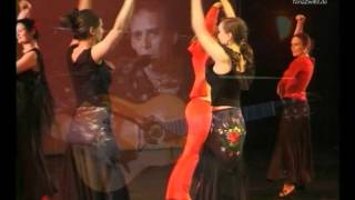 Flamenco tanzen lernen in der Tanzschule Berlin  TanzZwiEt [upl. by Adnilec187]