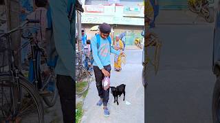 ছাগলকে নিয়ে সারাদিন ঘুরলাম বালুরঘাটে 🐐 minivlog vlog [upl. by Ymor]