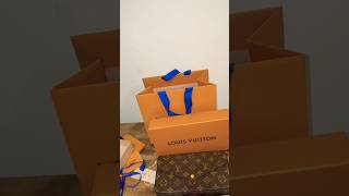 Louis Vuitton Félicie Pochette unboxing luxurybag luxury [upl. by Nonnarb]