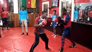 la leçon de frapper de pattes avec mon élève boxeur Herman dirigé par son coach formateur 🥊 lui même [upl. by Ydnagrub]