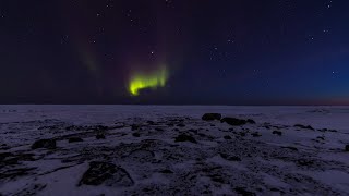 Inuktut language added to Microsoft Translator [upl. by Eninaej]