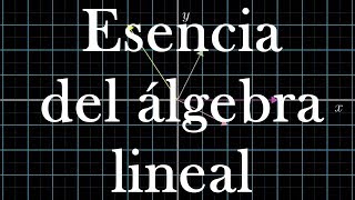 Fundamentos del Álgebra Lineal  Esencia del álgebra lineal reseña [upl. by Giselbert]