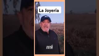 🧢La Joyería elchistedeldia humorandaluz [upl. by Yates]